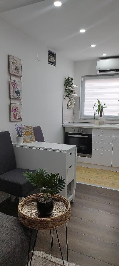 Queen Apartmancic Zaječar Exteriér fotografie