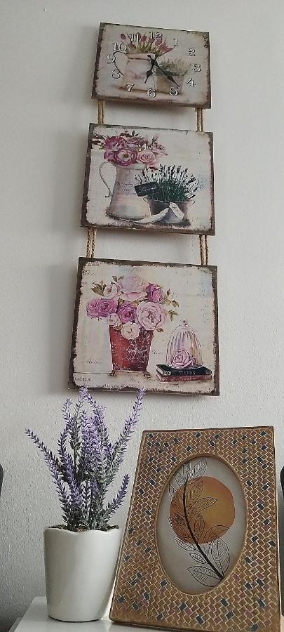 Queen Apartmancic Zaječar Exteriér fotografie